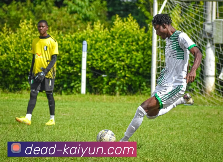 开云app品牌故事