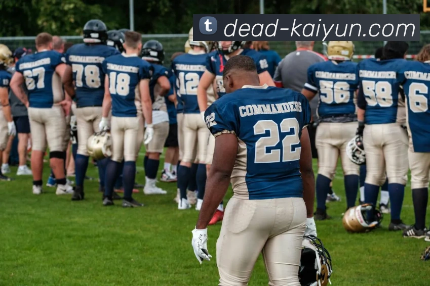 开云app服务体系